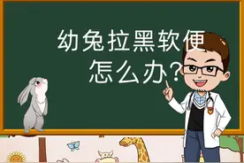 兔子拉黑色的软便怎么办？#宠物兔视频封面
