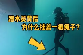 潜水员背后，为什么会挂着一根绳子呢？ #科普  #解压  #潜水员  #潜水脐带  #冷知识视频封面