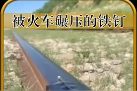 一根铁钉被火车碾压过后 #火车 #奇闻奇事 #探索新奇视频封面
