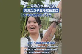 曾一天泡在水里8小时，洪湖女汉子直播挖藕走红，今年有望卖出千万元（原创采访）视频封面