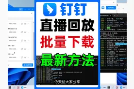 钉钉直播回放视频下载2025最新方法，支持批量下载视频封面