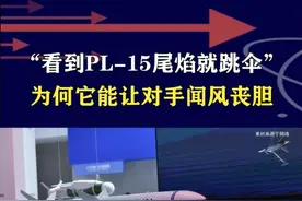 PL-15有多强？巴方实战验证，三大杀招让对手闻风丧胆 #抖音热评 #霹雳15空空导弹