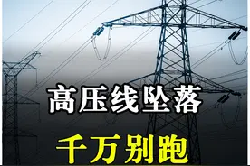 高压线掉地上，跑得快死得快！保命秘诀在这里！ #跨步电压