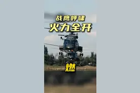 战鹰呼啸！看空中突击旅拉满燃力值！#突击 （作者：志彬 赵领燃 赵男 庞雄友 编辑：泽皓）    视频封面