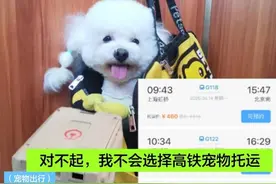 宠物终于能上高铁了！但我不会选择！ #携宠出游 #高铁宠物托运 #萌宠出道计划 #科学养宠攻略 #新手养宠视频封面