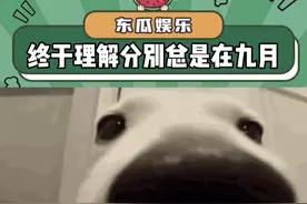 原来分别真的是在九月#分别总是在九月回忆是思念的愁 #开学 #娱乐评论大赏