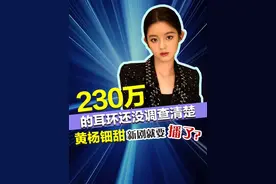 230万元的耳环还没调查清楚 黄杨钿甜新剧就要播了？ #黄杨钿甜 #230万耳环 #媒体精选计划
