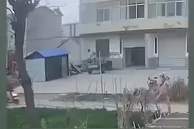 小男孩意外走丢，被三名骑车少年“捡到”送回！视频封面