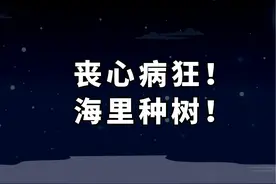 他们，为啥要在海里疯狂种红树？ #红树林 #美团 #青山计划 #环保视频封面