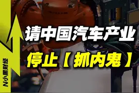 请中国汽车行业，停止【抓内鬼】 #dou来守护钱袋子 #100种求稳人生 #汽车