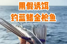 男人用假诱饵在深海钓到重达120斤的蓝鳍金枪鱼 #作品同步头条赢激励 #钓鱼人就是这么疯狂 #钓鱼的乐趣只有钓鱼人懂视频封面