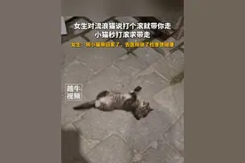5月8日报道，#重庆 ，女生对流浪猫说打个滚就带你走，小猫秒打滚求带走，女生：将小猫带回家了，去医院做了检查很健康#流浪猫 #有爱 #小猫治愈世界 #治愈视频封面