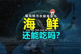核污水排海638天后，海鱼辐射数据监测报告！2025年4月