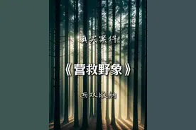 云南西双版纳森林公安武警营救落水野象家庭全过程真实记录视频封面