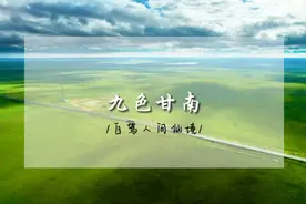 5.1去哪玩？自驾去甘南秘境扎尕那，路线小众，不走回头路！视频封面