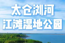 避开网红村人潮！太仓本地人私藏的江边秘境，景美人少还免费！ 最近太仓72家理想村人多到炸！滤镜背后是车堵路窄+人挤人的真实写照😮‍💨
 但就在它附近2公里，有一个人少景美+停车免费的江边湿地秘境🌿——浏河江滩湿地公园！
 ✔️高空栈道 ✔️蓝色水库 ✔️长江远眺 ✔️大片草地露营拍照绝美
 重点是！这里很干净！几乎没有狗屎雷区🐶💩你懂的😉
 🌤️晴天随手一拍就是桌面大片
 📍从上海自驾仅1小时多一点，绝对值得一探
 #太仓旅游  #小众景点 #72家理想村 #露营  #在这里拿下人生照片