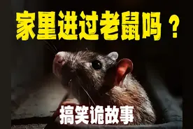 搞笑诡故事：家里进了一只老鼠，男孩抓的过程它凭空消失了！视频封面