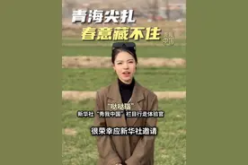 谁说西北只有荒凉？青海尖扎县的春意藏不住 #秀我中国  #青海尖扎视频封面