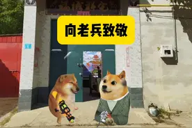 当有枪的老兵被邻居举报时...... #cheems #502赠枪 #抗战英雄