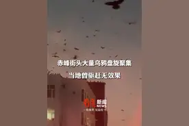 夜间出没，密密麻麻低空盘旋#赤峰天空出现成千只乌鸦飞舞  当地人：8年了也不知道是为什么视频封面