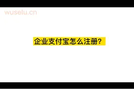 企业支付怎么注册呀？注册企业支付宝需要准备那些资料视频封面