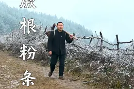 蕨根粉条（一） 今年的初雪一下，蕨根也就到了最佳采收期，挖回家提炼出美味可口的蕨根粉，准备做一锅热气腾腾的蕨根粉火锅暖暖胃。#蕨根粉 #大自然的馈赠 #特色美食 #农村美食 #新农人计划2025