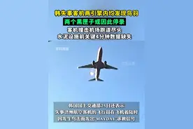 韩官方证实济州航空失事客机两引擎内均有鸟羽，两个黑匣子或因此停录。视频封面
