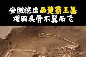 安徽挖出项羽墓，其头骨不翼而飞（下集） #项羽 #虞姬 #古墓 #考古 #历史