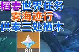 【原神鹤观】雾海纪行第一天供奉三处栖木攻略！#原神