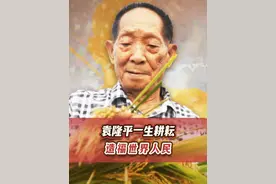 袁隆平诞辰94周年，禾下乘凉梦已经实现，杂交水稻也已走向世界