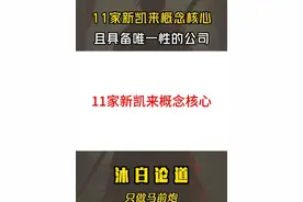 新凯来概念核心，11家具备唯一性的公司 #股票 #股民 #知识分享 #短线交易