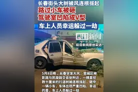 长春街头大树被风连根拔起，路过小车被砸驾驶室凹陷成V型，车上人员幸运躲过一劫（原创内容）视频封面