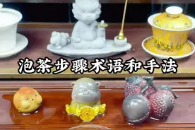 你们知道泡茶的哪些专业术语和专业步骤手法吗?#盖碗泡茶 #沸沸哥泡茶 #茶生活 #茶文化 #召唤茶友