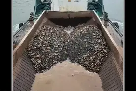 泥驳船是如何工作的？卸货时船体直接从中间裂开！ #泥驳船 #填海造陆 #内容启发搜索