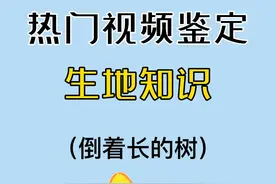 为什么树能倒着长？分析来了！ #地理 #生物 #高中 #知识前沿派对视频封面