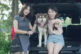 开着SUV带我们远离喧嚣吧！体验和狗狗自驾露营的一天。 #带着狗狗去旅行 #带你懂车 #玩车教授