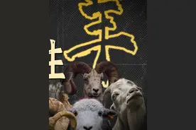 为什么南方羊膻味重，北方羊膻味小？ #地域美食