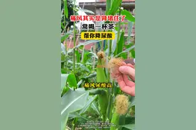 痛风其实是肾堵住了，常喝一杯茶，帮你降尿酸#痛风 #尿酸 #尿酸高 #降尿酸 #医疗健康创作训练营