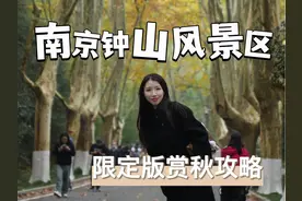 秋天的钟山风景区该怎么玩？看这篇游玩攻略就够了！