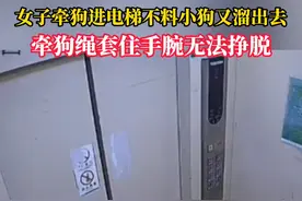 女孩手拿快递牵狗进电梯，不料小狗又溜了出去 ，牵引绳勒住女孩手腕无法挣脱视频封面