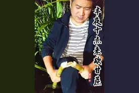 河南种的甘蔗虽然高度比不上广西老表那边，但是绝对更甜！ 顺便帮朋友回忆回忆断片后的记忆！#打造百果园 #河南种甘蔗 #甘蔗种植 #甘蔗 #种植的乐趣视频封面