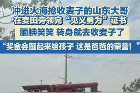 6月4日，山东菏泽，开收割机冲进火海抢收麦子的山东大哥孙志东，被授予“菏泽市见义勇为先进分子”称号，在麦田里腼腆领完证书，转身就去收麦子了：奖金会留给孩子，这是爸爸的荣誉！为朴实的山东大哥点赞！#凡人英雄 #收麦子 #点赞山东视频封面