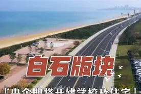 #烟台烟台 #白石 #城市记忆 #发展规划 央企加入，白石版块推进更有底气！期待H1、H2地块的新面貌视频封面