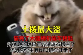 偷完了大疆相机偷车钥匙，土拨鼠准备做自驾旅行博主了 #土拨鼠 #车钥匙 #大疆相机