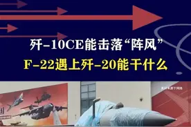歼-10CE能击落“阵风”， F-22遇上歼-20能干什么 #抖音热评视频封面