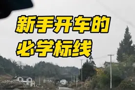 新手开车的必学标线 新手司机开车，如果连最基础的标线都不认识，那么，可能实习期都还没有通过，驾照分就被扣没了，随便一张罚单，就能让你多交两百块的学费，今天这期视频，咱们重温一下，驾驶时的必学标线 #驾驶技巧 #开车技巧 #抖音汽车 #新手上路 #每天一个用车知识视频封面