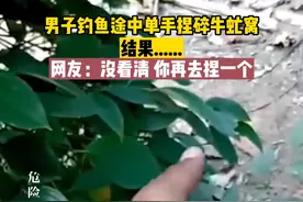 男子钓鱼途中单手捏碎牛虻窝，结果......网友：没看清 你再去捏一个#泰安之声 #万万没想到 #震惊 #钓鱼 视频来源：@云雾水族· Streams in nat 云雾水族· Streams in na
