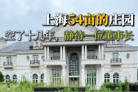 罚你年少有为住大别野，认罚评论区留言我叫你一声董事长 #壹亿豪宅 #亿哥 #世茂佘山庄园 #庄园 #别墅