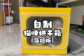 零元自制猫咪烘干箱，人人都能就地取材，有手就行，简短版视频封面