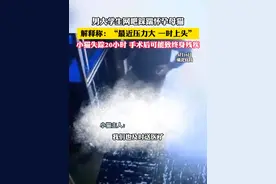 男大学生网吧踩踹怀孕母猫 解释称:“最近压力大 一时上头” 小猫失踪20小时 手术后可能致终身残疾（吕）#大学生 #社会百态 #离谱视频封面